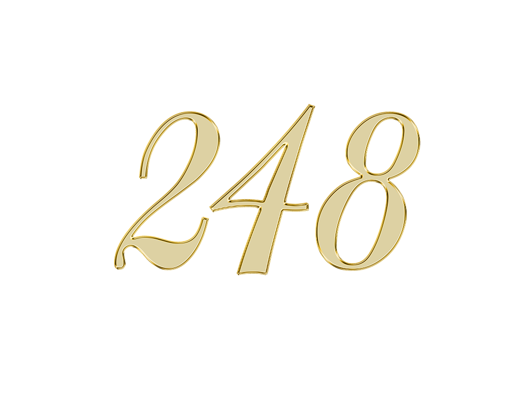 エンジェルナンバー248が表す意味やメッセージとは スピプラ